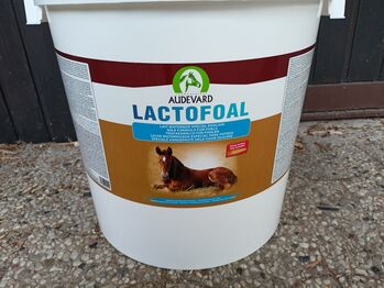 Adevard Lactofoal Fohlenmilch, Adevard , Eileen Baum , Horse Feed & Supplements, Bad Münder 
