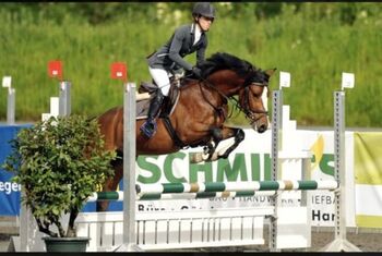 Liebenswerten Reitponywallach, Patricia , Horses For Sale, Tarrenz 