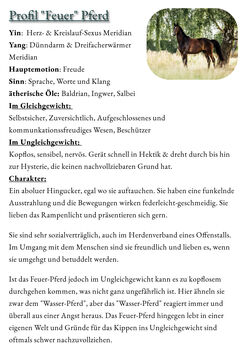 Ist dein Pferd ein Holz-Pferd oder hast du eher Feuer unter dem Hintern?