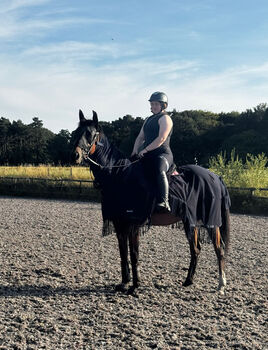 Honest ad! Tb mare project