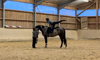 Alberto 7 jähriger Allrounder