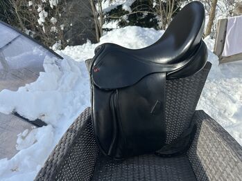 Albion Legend Dressursattel, Albion Legend, Ursula Wette, Dressage Saddle, Golk