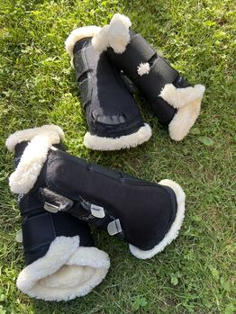Dressurgamaschen ALL BLACK 🖤, Felix Bühler Save the Sheep, Tici 🤎, Tendon Boots, München