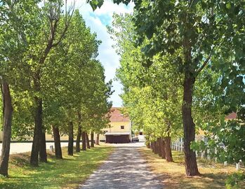 All inclusive Stall nur 5 Minuten von Wien