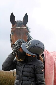 Allrounder Dressurpferd Zuchtstute Vielseitigkeit Hannoveraner 6j, Vanessa, Horses For Sale, Arzfeld