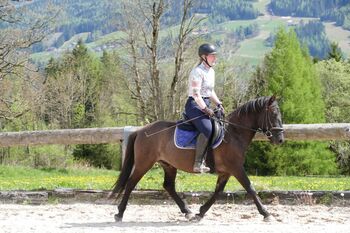 Ein Allrounder mit Potential