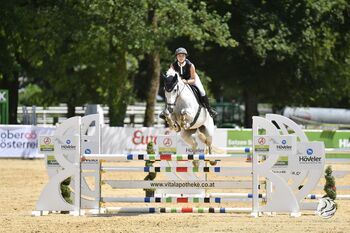 Allrounderpferd mit Herz, Vermögen und Feingefühl, Valentina, Horses For Sale, Walcherbauer