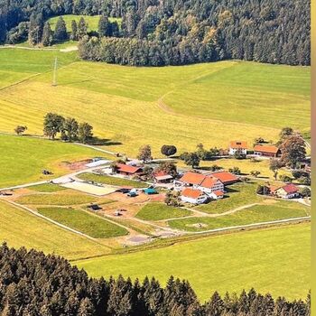 Altersweide/ Fohlenweide /Paddocktrail/Offenstall, Paddocktrail Offenstall , Magdalena Heim , Paddock-, Boxen- & Stallmatten, Isny im Allgäu