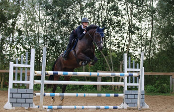 Amateurpferd, O.Noemi , Horses For Sale, Perl