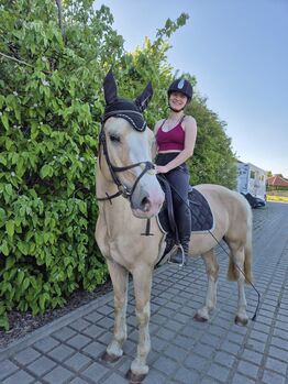 Ambitioniertes und lernwilliges Pony, Nicole Uhlemann, Konie na sprzedaż, Dresden