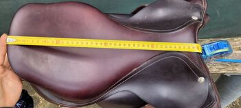 Amerigo 17.5 Amerigo