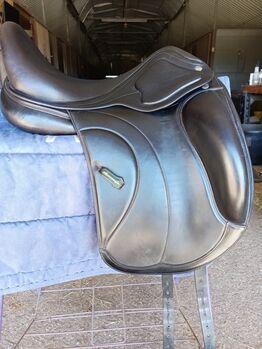 Amerigo Cervia Siena Dressage Saddle, Amerigo  Cervia Siena , Carolyn Thow, Dressage Saddle, Alvarado