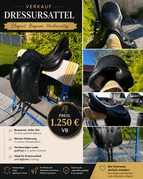 Amerigo Dressursattel, Amerigo Pinerolo, Angélique, Dressage Saddle, Muldestausee
