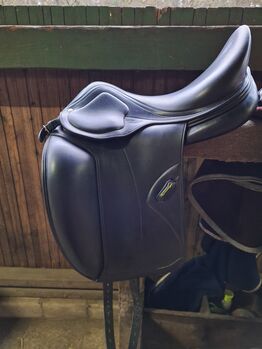 Amerigo Pinerolo Dressursattel, Amerigo  Pinerolo, Sarah , Dressursattel, Munster 