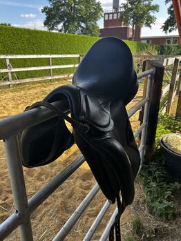 Amerigo pinerolo Dressursattel, Amerigo  Pinerolo, Michelle , Dressage Saddle, Lienen