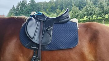 Amerigo Pinerolo VSD (KEIN VEGA) M+ 3.5 Dressursattel Amerigo  Pinerolo VSD