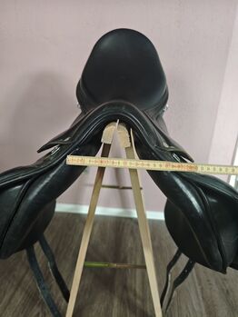 Amerigo Pinerolo VSD17,5 Zoll BREIT +3,5 Freiberger Kaltblut Amerigo  Pinerolo VSD