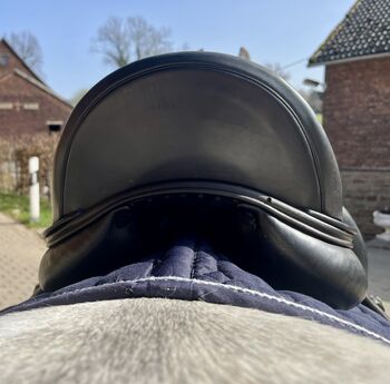 Amerigo Siena Cervia Dressursattel 17 Zoll Amerigo Siena Cervia Pinerolo