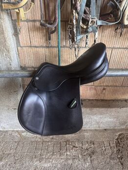 Amerigo Vega Springsattel, Amerigo Vega, Jenny, Jumping Saddle, Alpnach Dorf