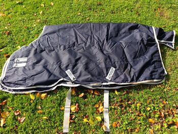 Amigo Horseware Bravo 12 Turnout Winterdecke Amigo Horseware  Amigo Bravo 12 Turnout 