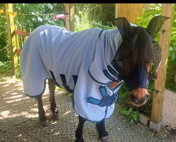 Amigo Horseware Hoody, HORSEWARE  Amigo Ripstop 900D Plus Pony Turnout , re.moni, Horse Blankets, Sheets & Coolers, Dortmund
