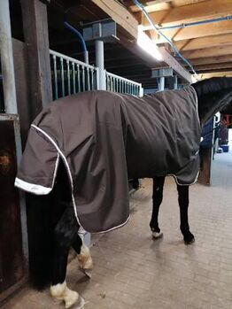 Amigo Regendecke 145cm, Amigo, K. Buchinger , Horse Blankets, Sheets & Coolers, Espenau