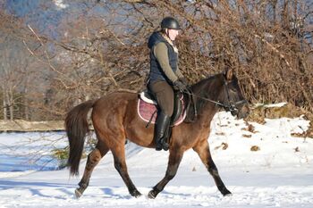 Ein Allrounder mit Klasse