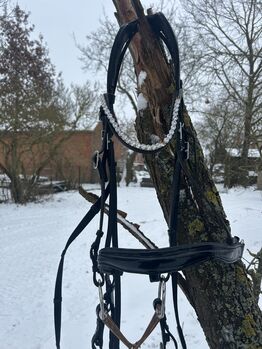 Anatomische Trense, Ophelie Bley, Bridles & Headstalls, Stendal