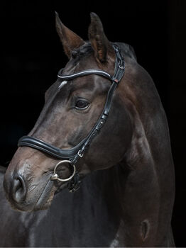 Anatomische Trense (Größe WB) NEU, Clarington House Free Ontario, Silke, Bridles & Headstalls, Frankfurt 
