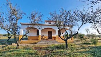 Andalusien, Provinz Huelva, Rociana del Condado - Finca, Haus mit 4 ha Land zu verkaufen, Sabine Wesseln, Maras World of Horses (Maras World of Horses, Maras World Solutions S.L.), Equestrian Properties, Rociana del Condado