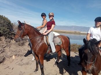 Andalusier, jutta bonstedt kloehn, Pferd kaufen, Tabernas