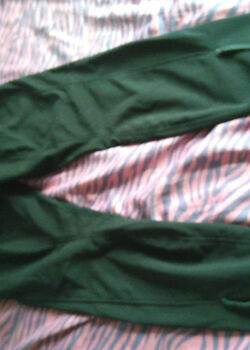 English riding jodhpurs Mountain Horse