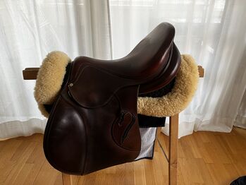 Antares Springsattel braun 17,5 Zoll Modell Classique, Antares Classique, Katrin, Jumping Saddle, Hainbuch