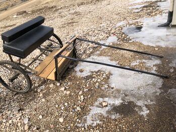 Antique Pony Cart, unknown unknown, Cathleen White, Kutschen, Midway