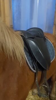 Aquila ​Reitkissen baumloser Sattel Töltkissen Reitpad Aquila 