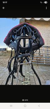 Arden Shetlandpony-Kombigeschirr aus Biothane Arden Kombigeschirr