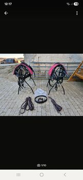 Arden Shetlandpony-Kombigeschirr aus Biothane, Arden Kombigeschirr, Madeleine , Kutschgeschirr, Heidenheim 