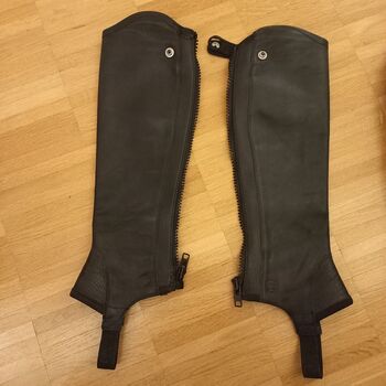 Ariat Chaps Concord Ariat Concord