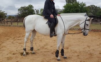 Ariat horse riding boots Ariat