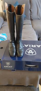 Ariat Reitstiefel Palisade, Ariat Palisade, Michaela, Riding Boots, Neukirchen 