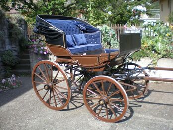 Doktor Chaise Kutsche, Burkhard Carrosserie Sumiswald Doktor Chaise Kutsche, Marianne - HorseFoodCare, Carriages, Uetendorf