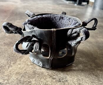 AS Fressregulator AS Fressregulator M