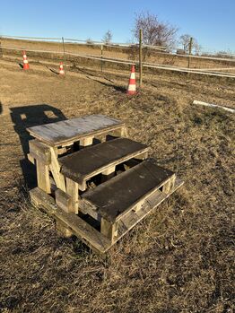 Aufstiegshilfe Stufe, Ines, Riding Arena, Unterzögersdorf