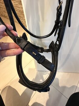 Ascot Zaumzeug WB Genickverschnallung