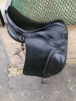 ASE Tölt Sattel, ASE ASE Tölt , Muffin, Icelandic Saddle, Schwülper