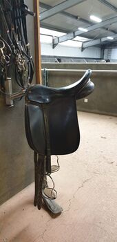 Ástund Winner+ 17.5" oder 18" gesucht, Ástund Winner +, Ida, Icelandic Saddle, Münster