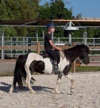 Aufsteigen und lostölten - tolle Partnerin fürs Gelände, ElfenPferde, Pferd kaufen, Neustadt am Rübenberge