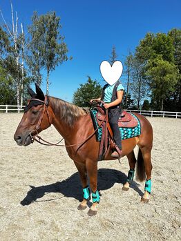 Ausdrucksstarker Quarter Horse Wallach sucht seinen Menschen fürs Leben, Kerstin Rehbehn (Pferdemarketing Ost), Pferd kaufen, Nienburg