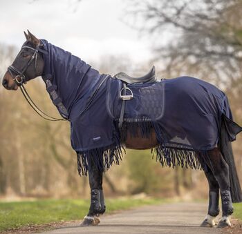 Ausreitfliegendecke 155cm, Busse, Carla, Fliegenschutz, Hofgeismar
