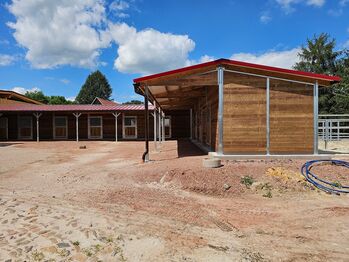Außenstall & Pferdestall bauen ideale Pferdebox für Ställe AUSSENBOXEN Pferdebox - Außenstall - Pferdestall 